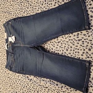 NWT NEW Lane Bryant high rise fit genius skinny pedal denim